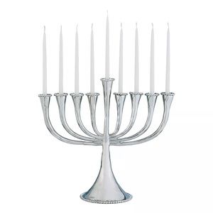 NEW - Michael Aram Molten Menorah